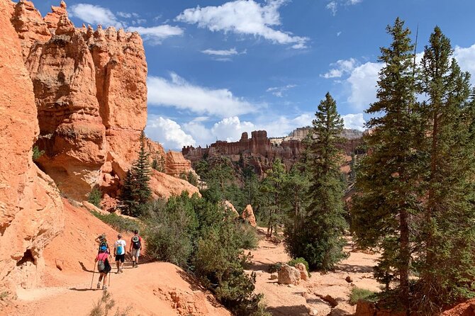 Private Tour: 7-Day Highlight Tour of Southwest Mighty Five - Bryce Canyon: hoodoos from the rim, or up close from below