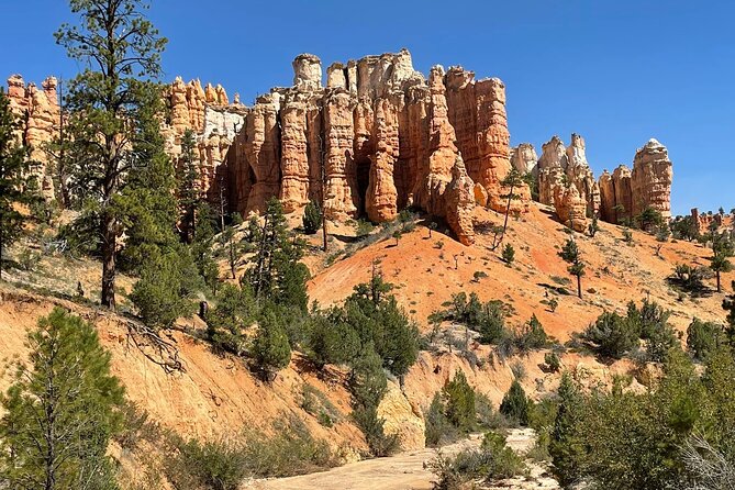 Private Tour to Zion National Park from Las Vegas - Time in Zion National Park: Short, Meaningful Chunks