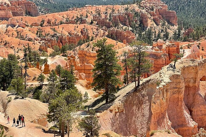 Private Tour to Zion National Park from Las Vegas - Who This Private Zion Tour Fits Best (And Who Might Prefer DIY)