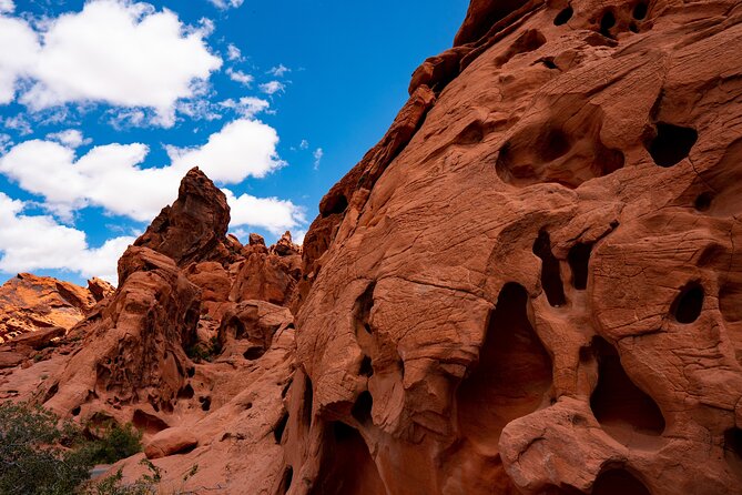 Private Tour: Valley of Fire Day Tour from Las Vegas - Stop 2: White Domes Trail and Why the Colors Look Different Here