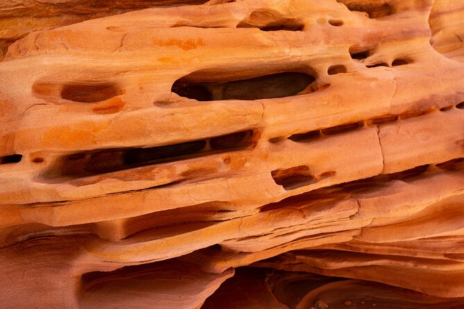 Private Tour: Valley of Fire Day Tour from Las Vegas - How the Day Feels: Timing, Walking Levels, Restrooms, and Heat
