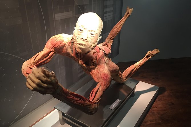 Real Bodies at Horseshoe Las Vegas - How long to plan, and why timing matters on the Strip
