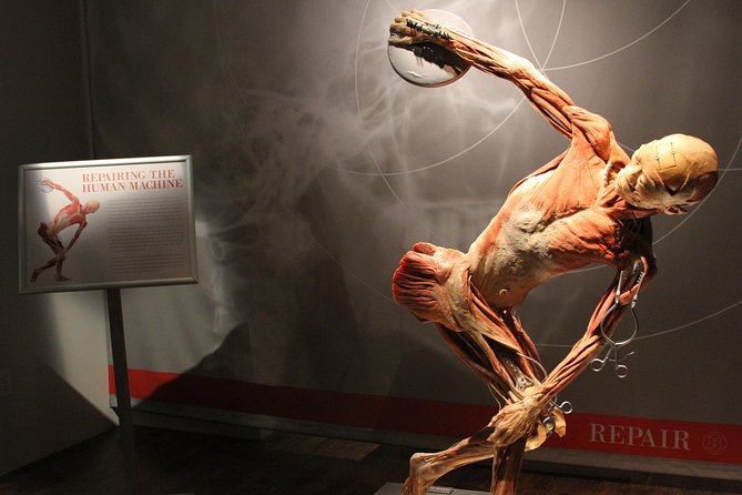 Real Bodies at Horseshoe Las Vegas - A practical checklist before you walk in