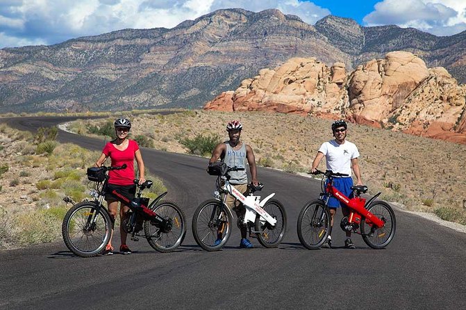Red Rock Canyon eBike Half-Day Tour - What you’ll actually notice at the stops: petroglyphs, stone layers, and Joshua trees