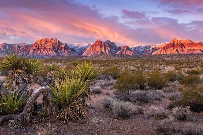 Red Rock Canyon Guided Automatic Slingshot Express Tour - Quick hits: what makes this Slingshot tour work