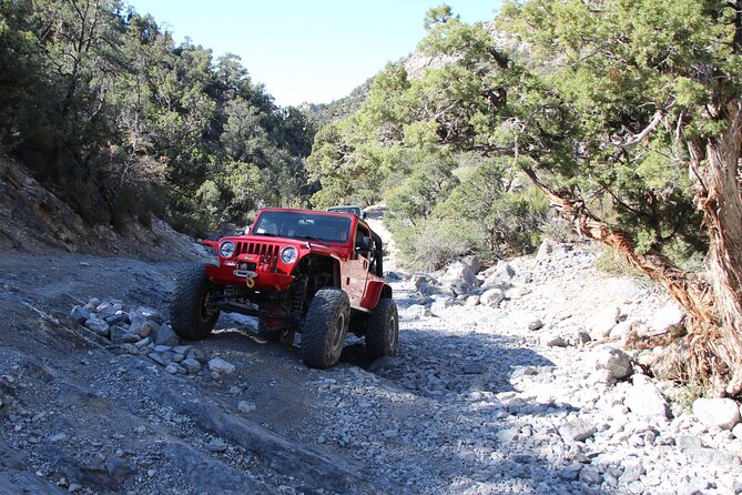 Red Rock Canyon Half Day Jeep Tour Offroad Adventure - Willow Springs prep: the air-down and 4WD moment