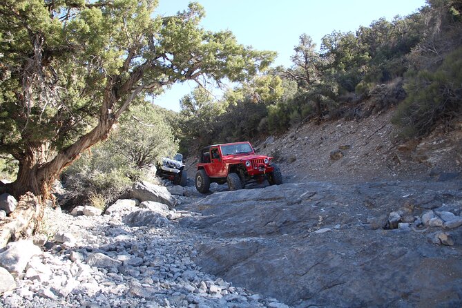 Red Rock Canyon Half Day Jeep Tour Offroad Adventure - Your guide and the small details that make it better