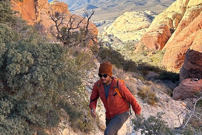 Red Rock Canyon Hiking Adventure fom Las Vegas - Key highlights you will feel fast
