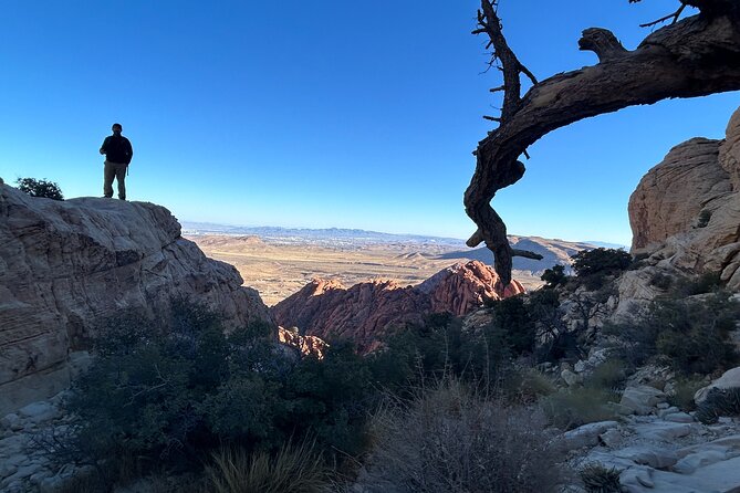 Red Rock Canyon Hiking Adventure fom Las Vegas - Morning versus afternoon: sunlight, shade, and pacing choices