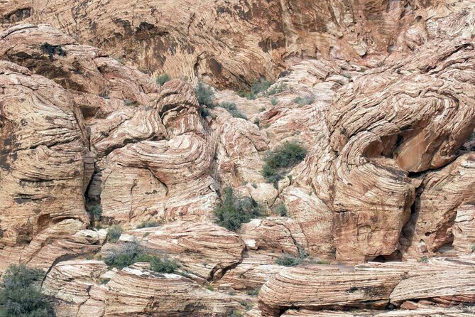 Red Rock Canyon Self-Guided Driving Audio Tour - A bird-watcher’s view and the highest point: High Point Overlook at 4,780 feet