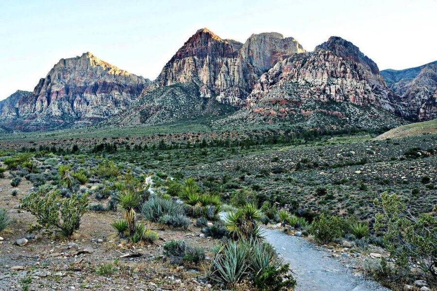 Red Rock Canyon Sign& Seven Magic Mountains Tour - Price and Value at $250 Per Person