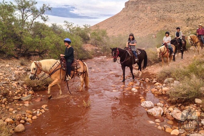 Red Rock Canyon Sunset Horseback Ride and Barbeque Dinner - Price and value: is $199 fair for this kind of half-day?