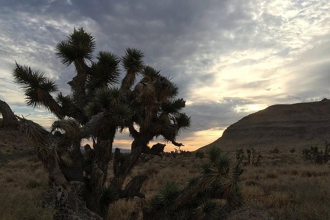 Red Rock Canyon Sunset Horseback Ride and Barbeque Dinner - Pickup, timing, and the 5-hour rhythm