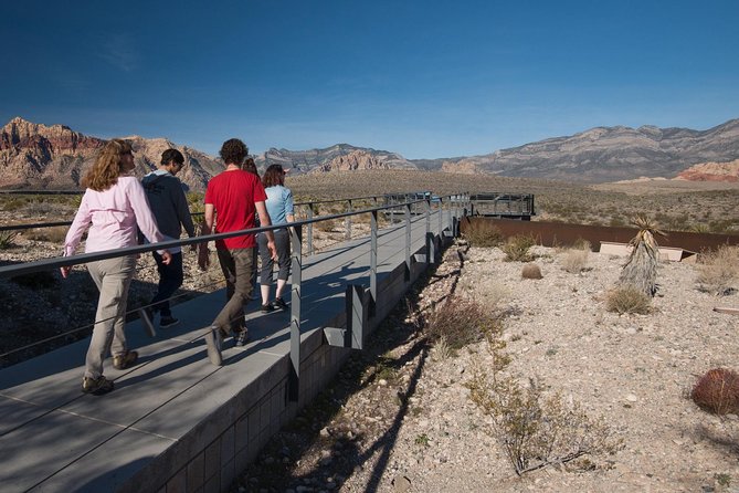 Red Rock Canyon with Rocky Gap Road 4x4 Jeep Tour - Calico Hills and the Spring Mountains: where color and ecology meet