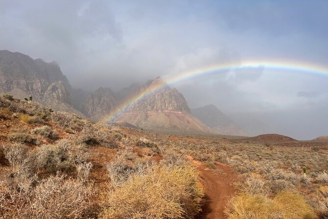 Redrock Hikes Come See Our South West Historic Beauty - On the Trail: Petroglyphs, Wildlife, and Plant Life Stops