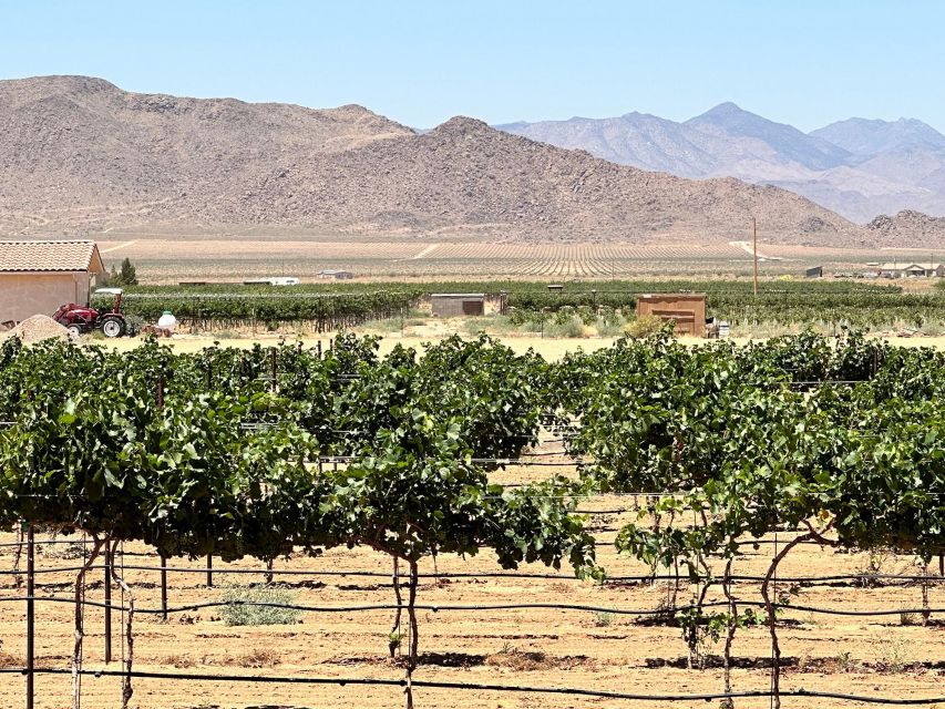 Scenic Desert Wine, Distillery Tastings/Brewery/RT66 & Lunch - Why This Route 66 Wine, Spirits, and Beer Day From Las Vegas Feels Like a Shortcut