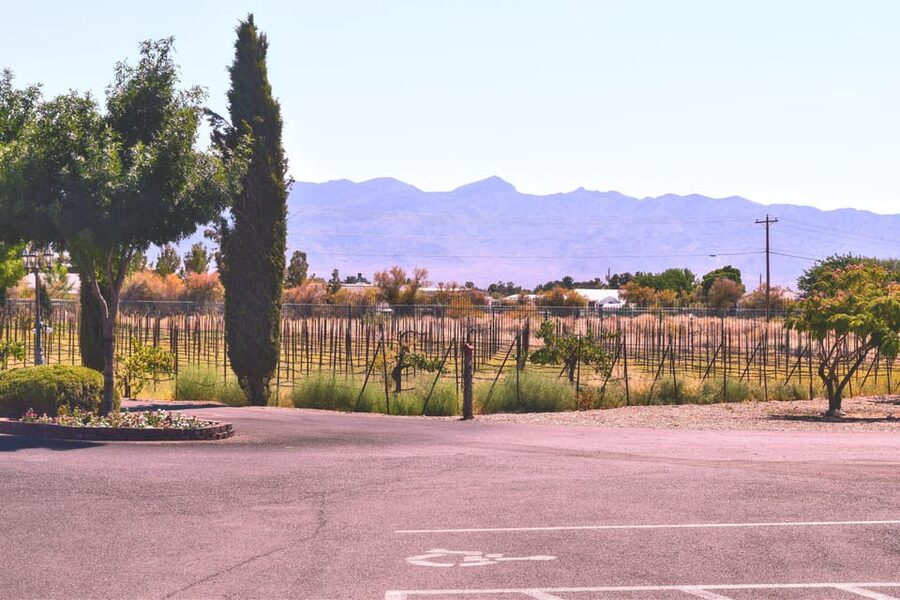 Scenic Las Vegas / Pahrump Wine Tasting Tour and Food - Getting on the shuttle: Harley Davidson meeting point and what to look for