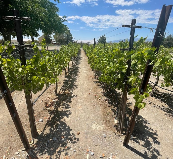 Scenic Las Vegas / Pahrump Wine Tasting Tour and Food - Stop 2: second tasting hour, plus the Charleston Peak swap on Tue and Wed