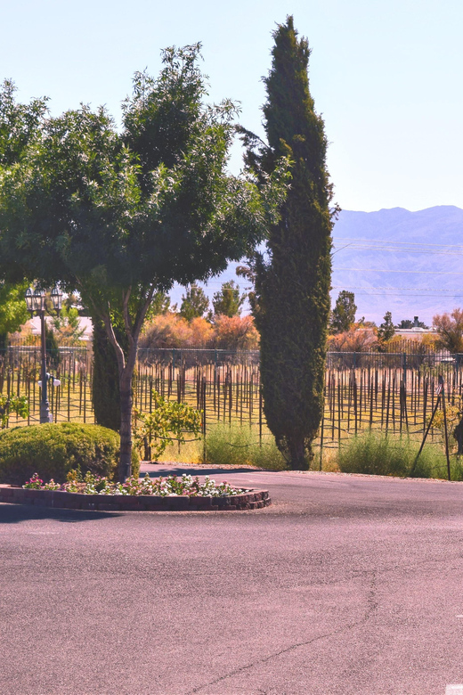 Scenic Las Vegas / Pahrump Wine Tasting Tour and Food - Price and time: what you’re paying for (and what you’re not)