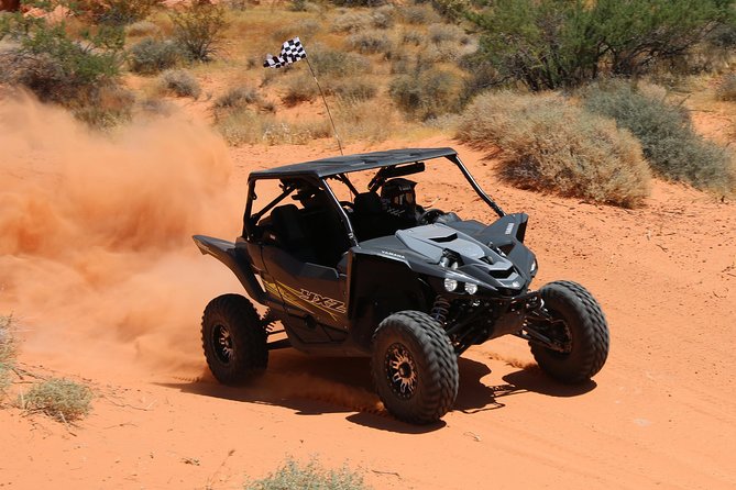 Scenic Valley of Fire 2-Person UTV Tour in Las Vegas - Price and Value: $399 for Two, and What That Buys You