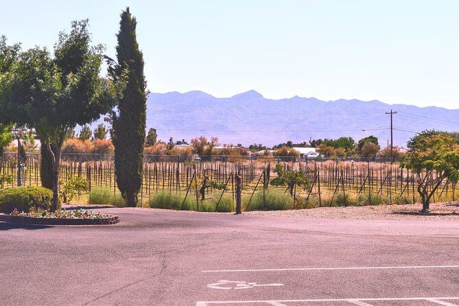 Scenic Wine Tasting Tour from Las Vegas with Food - Why This Pahrump Wine Tour Feels Like a Break from the Strip
