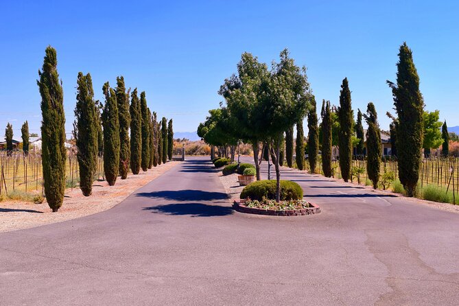 Scenic Wine Tasting Tour from Las Vegas with Food - Who This Tour Suits Best (and Who Might Skip It)