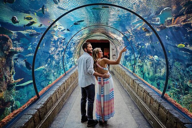 Shark Reef at Mandalay Bay Hotel and Casino - Shark Reef at Mandalay Bay, a Smart Strip Break