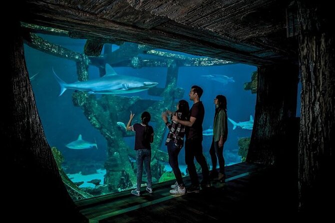 Shark Reef at Mandalay Bay Hotel and Casino - Should You Book Shark Reef at Mandalay Bay?