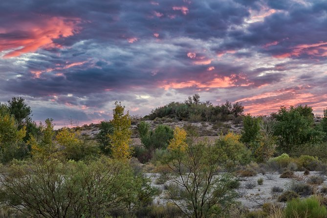 Skip the Line: Springs Preserve in Las Vegas Admission Ticket - How long it takes: pacing for a 1-day ticket