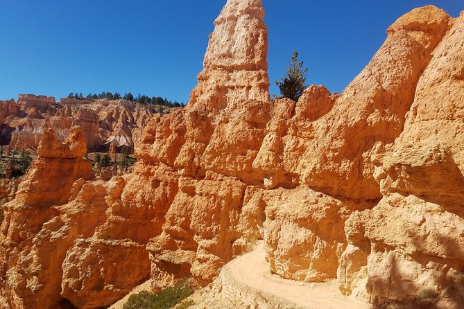 Small Group Bryce Canyon & Zion National Park Tour from Las Vegas - Small Van, Limited to 14: Why It Feels Less Like a Zoo