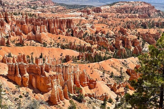 Small Group Day Tour To Explore Bryce Canyon & Zion National Park - Timing, Comfort, and the Lunch You Need to Plan