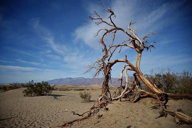 Small-Group Death Valley National Park Day Tour from Las Vegas - Artists Palette and the color science behind the drama