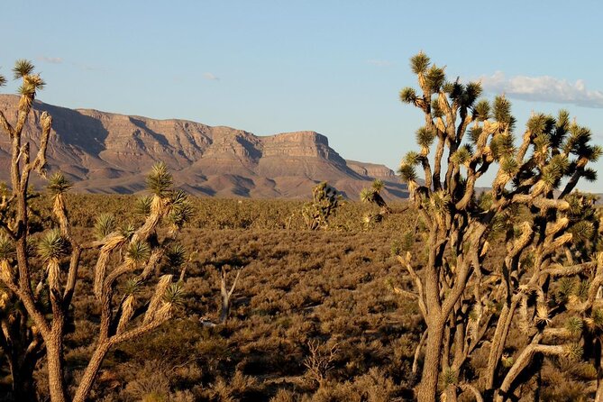 Small Group Grand Canyon, Hoover Dam and 7 Magic Mountains Tour - Grand Canyon West: Three Hours of Rim Views You Control