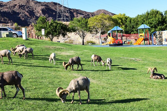 Small-Group Hoover Dam Tour from Las Vegas - Guide Style and Pace: What Works and What to Watch For