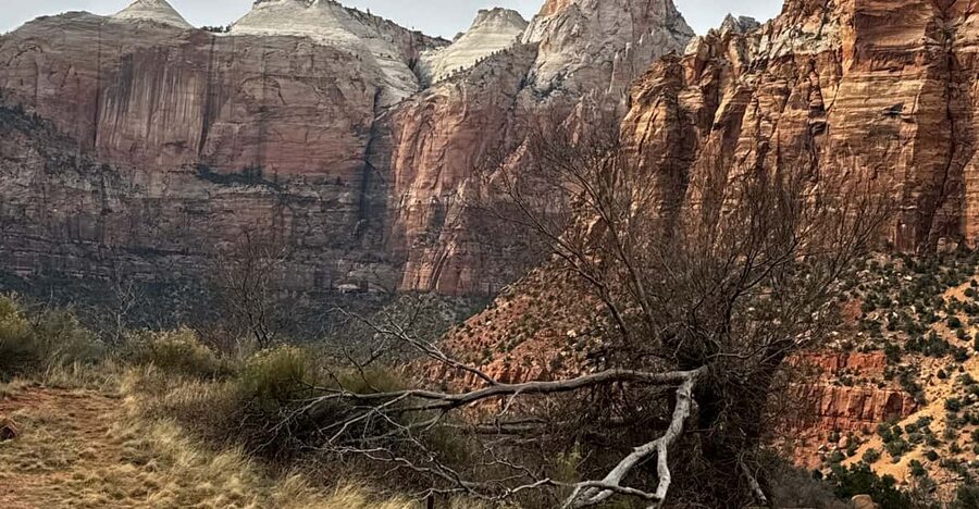 Small Group Tour Zion Bryce Canyon National from Las Vegas - Key takeaways