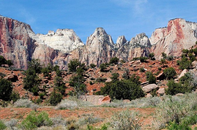 Small-Group Zion National Park Day Tour from Las Vegas - Zion-Mt. Carmel Highway, wildlife spotting, and the “photo for days” moment