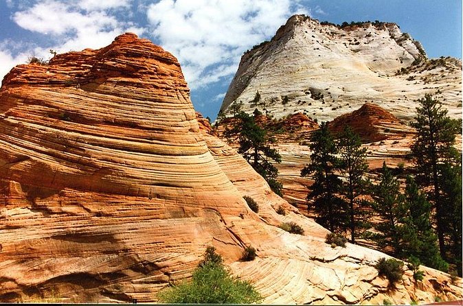 Small-Group Zion National Park Day Tour from Las Vegas - Timing, pacing, and what the 11 hours really feel like