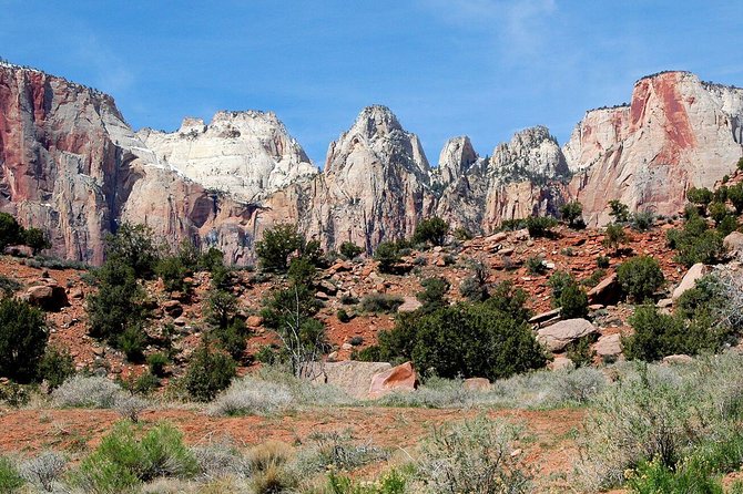 Small-Group Zion National Park Day Tour from Las Vegas - Food and comfort: lunch, snacks, water, and small extras that matter