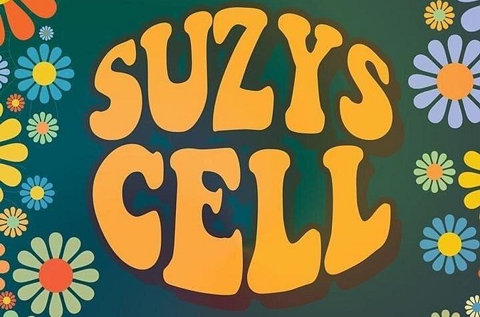 Suzys Cell Escape Game - Meeting at 1775 E Tropicana Ave: timing, area, and logistics