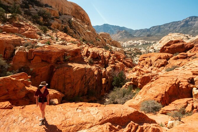 The Ultimate Red Rock Canyon Scenic Experience - Key Points to Know Before You Go