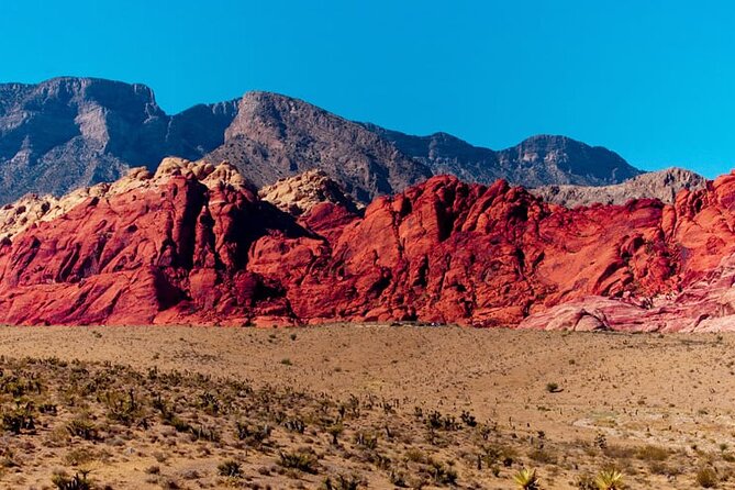 The Ultimate Red Rock Canyon Scenic Experience - Spring Mountain Ranch State Park: A Nature Walk with Old Nevada Stories