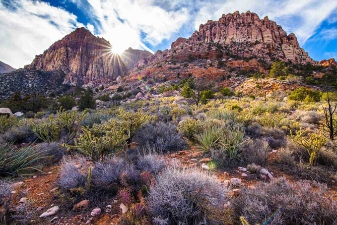 The Ultimate Red Rock Canyon Scenic Experience - What You’re Really Paying For (Price and Value)