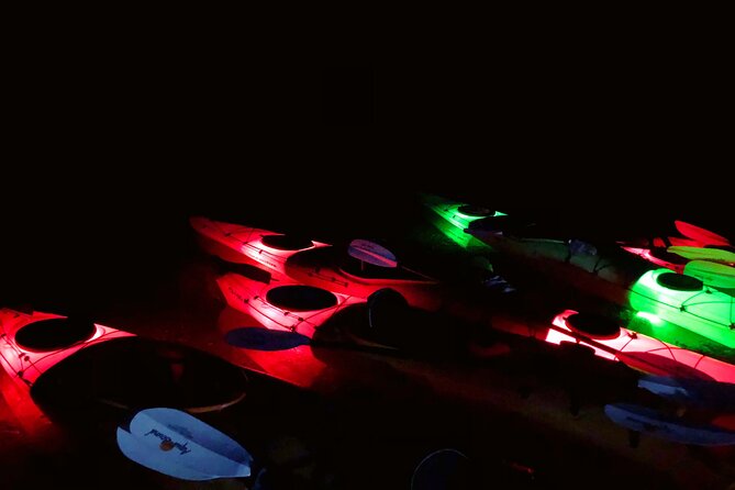 Twilight Black Canyon Kayak Tour with Bonfire Experience - The paddle out: daylight work that sets up sunset magic