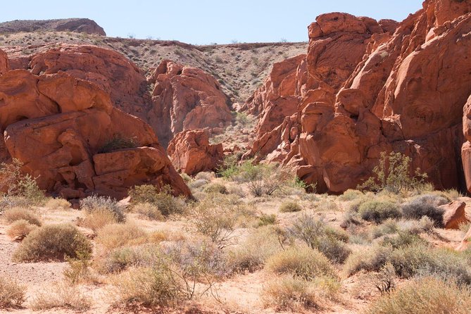 Valley of Fire 3-Hour ATV Tour from Las Vegas - The Itinerary In Real Terms: Stops, Lunch, And Breaks