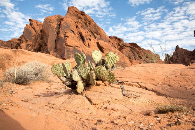 Valley of Fire and Lost City Museum Tour from Las Vegas - Leaving the Strip: an 8:00 am start with real comfort