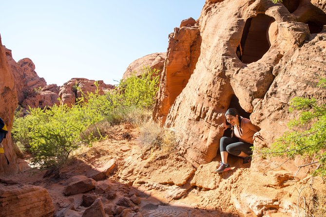 Valley of Fire Guided Hike from Las Vegas - White Domes Trail: softer terrain, still worth your attention