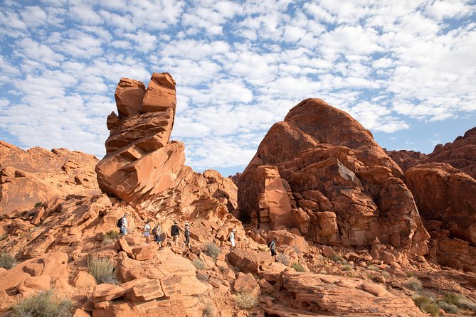 Valley of Fire Guided Hike from Las Vegas - Elephant Rock: a photo stop with personality