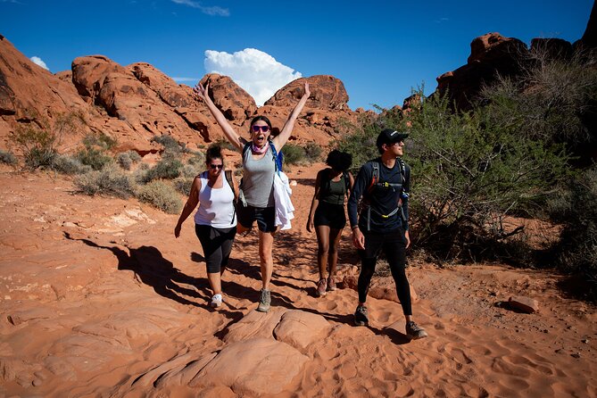 Valley of Fire Guided Hiking Tour and Mojave Desert Adventure - Key highlights to know before you go