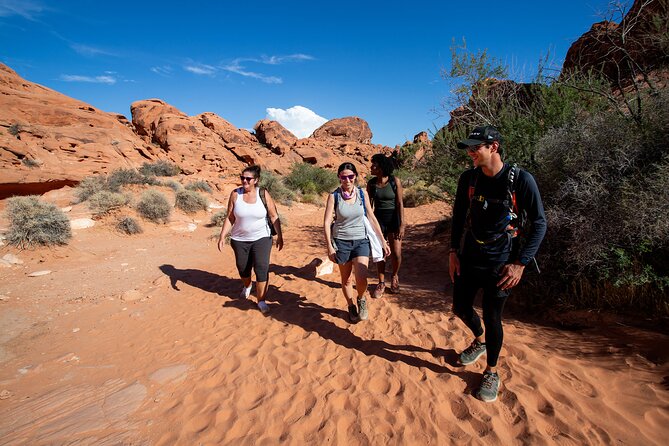 Valley of Fire Guided Hiking Tour and Mojave Desert Adventure - Why this red-rock hike beats a Vegas day on the Strip