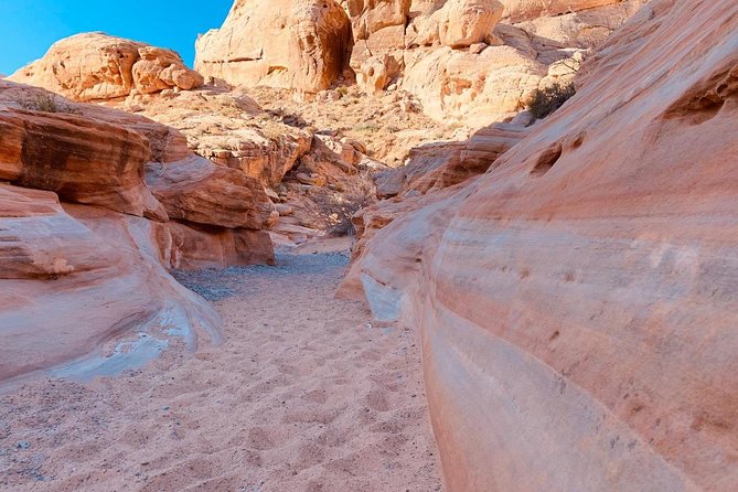 Valley of Fire/ Mojave Desert VIP Small Group Tour From Las Vegas - Key highlights to know before you go